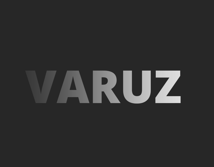 Logo Varuz